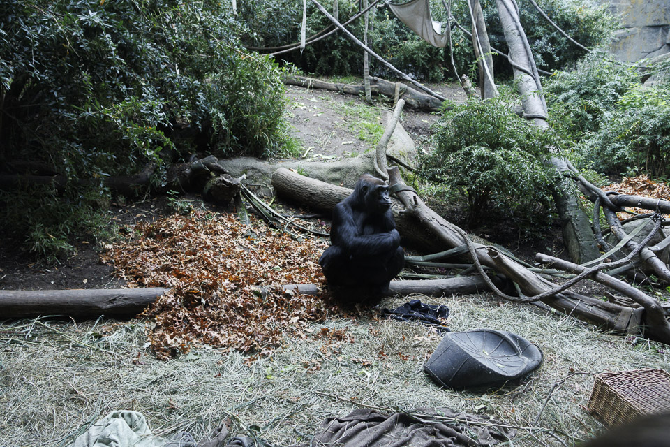 Woodland Park Zoo — photo 18